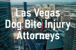Las Vegas Dog Bite Injury Attorneys